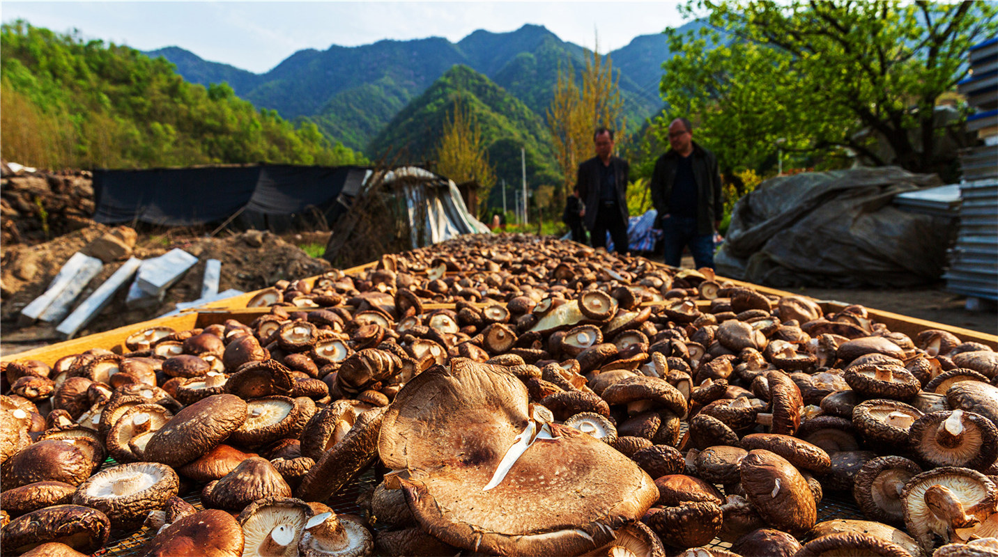 《結(jié)對幫扶，碩果累累》高波